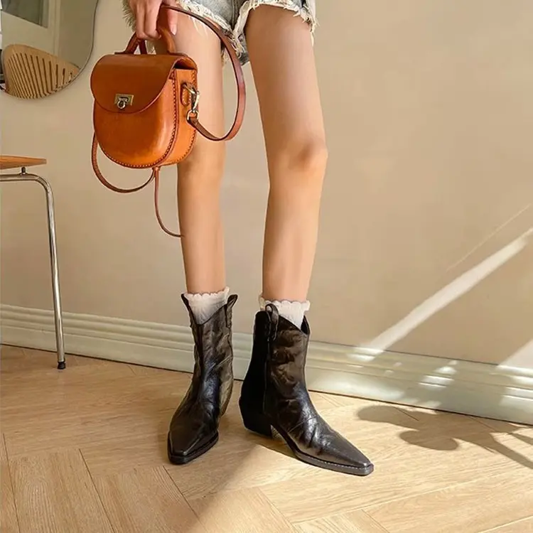 Pointed Toe Western Cowboy Boot Women's 2024 Autumn and Winter New Chunky Heel Back Zipper Short Women's Boots Martin Boots Women