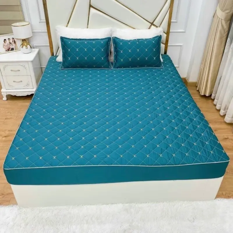 ( Không Kèm Vỏ Gối Đầu ) Lẻ 1 ga phi lụa trần bông , có chun bọc đệm dưới 15cm 5