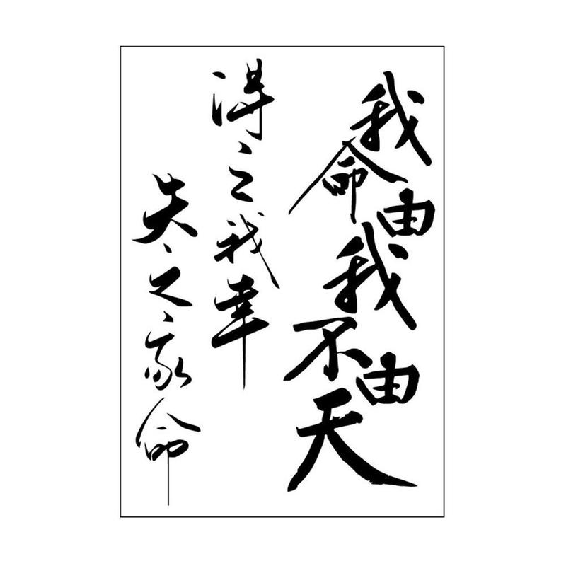 Empowering Chinese Phrases Temporary Tattoo Stickers 12 Weeks Longevity E2J0 1
