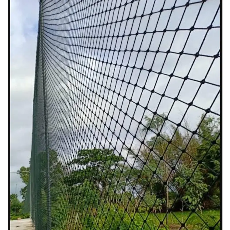 Jaring Ayam lebar 5 Meter x panjang 20-25 meter 5