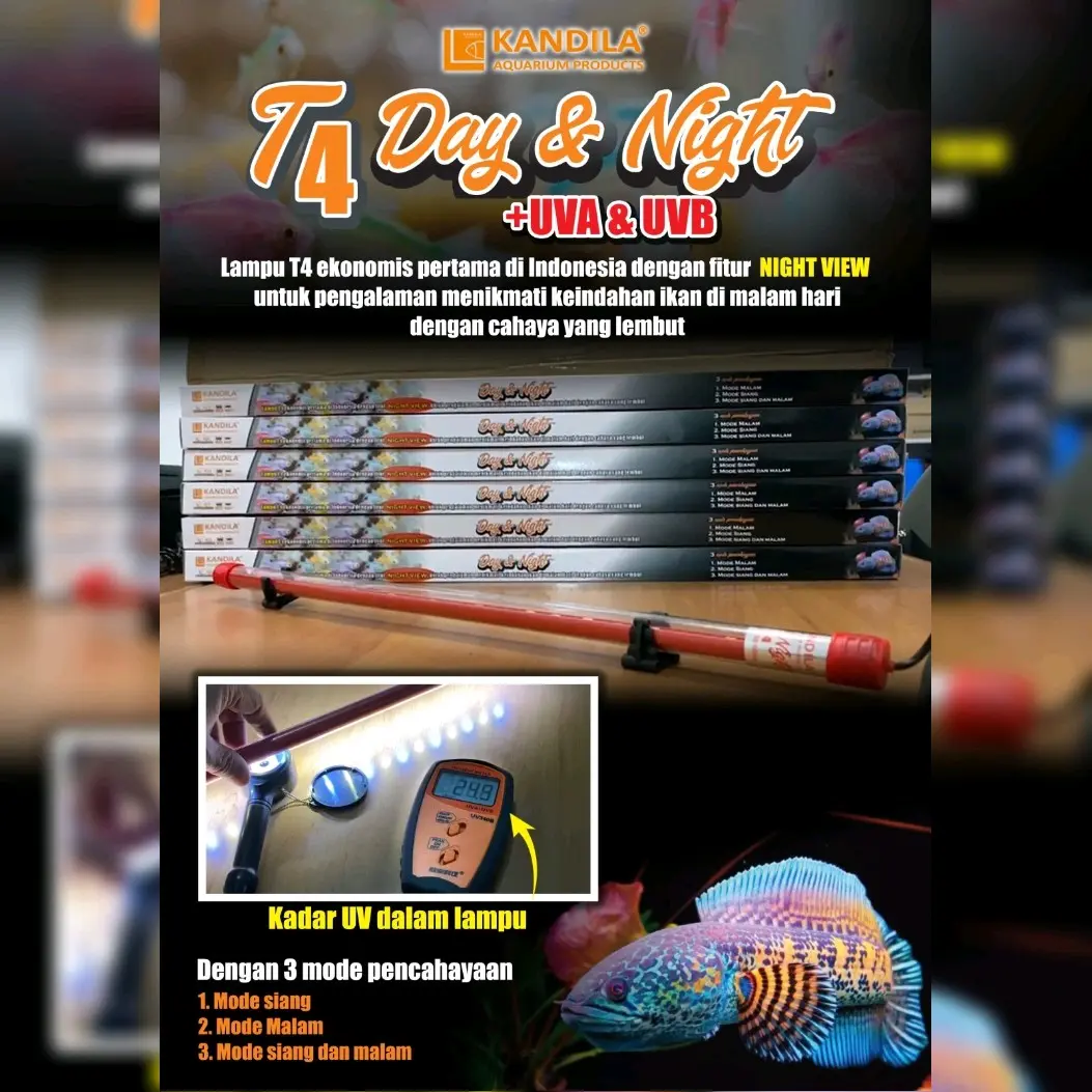 LAMPU CELUP KANDILA DAY & NIGHT T4 SERI N