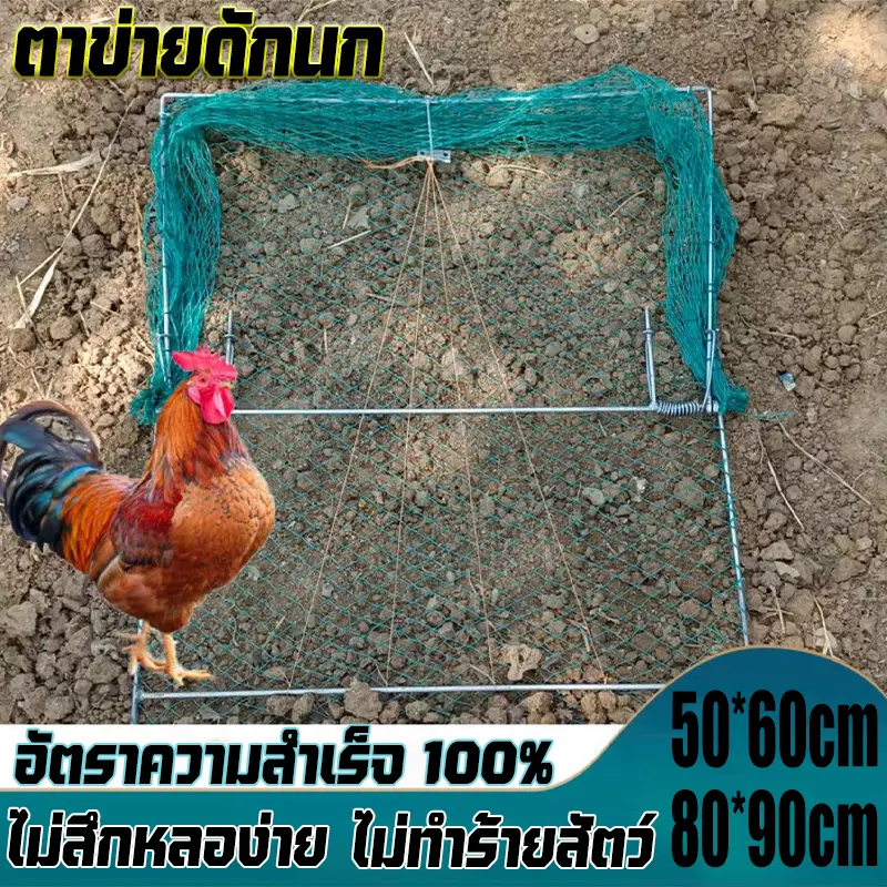 ที่ดักนก กับดักไก่และดักนกทุกชนิด โครงเป็นเหล็ก ไก่ติดแล้วไม่หลุด สปริงอย่าง สามารถจับไก่ได้ง่ายขึ้นใช้งานได้หลายปี