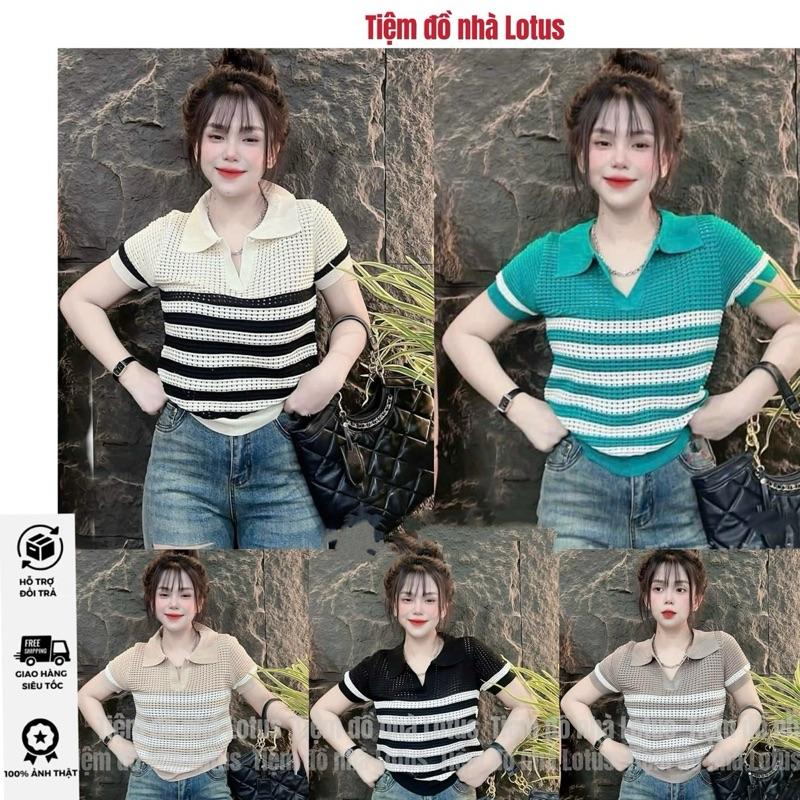 Áo Polo Cộc Tay LOTUS Vải Len Lỗ Thoáng Mát Kẻ Ngang - Màu Trắng • Be • Xanh • Đen • Nâu Tiệm đồ nhà Lotus