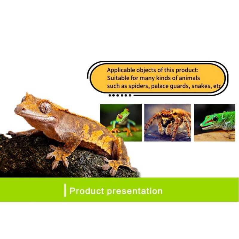 Product Introduction of Transparent Acrylic Reptile Breeding Box Lizard Amphibian Spider Terrarium Leak proof Habitat Arboreal Tarantula Enclosure 30