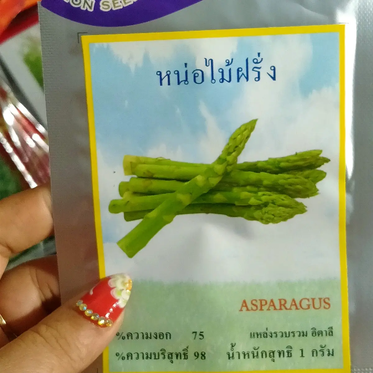 2 .GÓI h.ạt g.iống m.ăng t.ây xanh