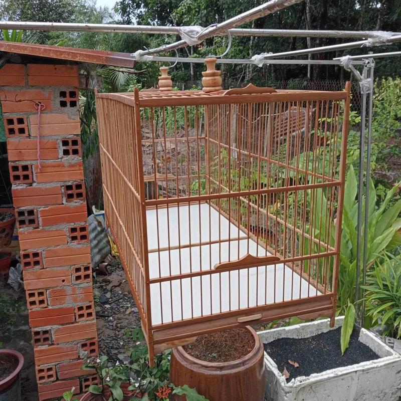 Khung lồng tập lực chào mào, chích chòe tự ráp tre kích thước dài 60cm,80cm (đã ráp sẵn 4 mặt) tregià chim
