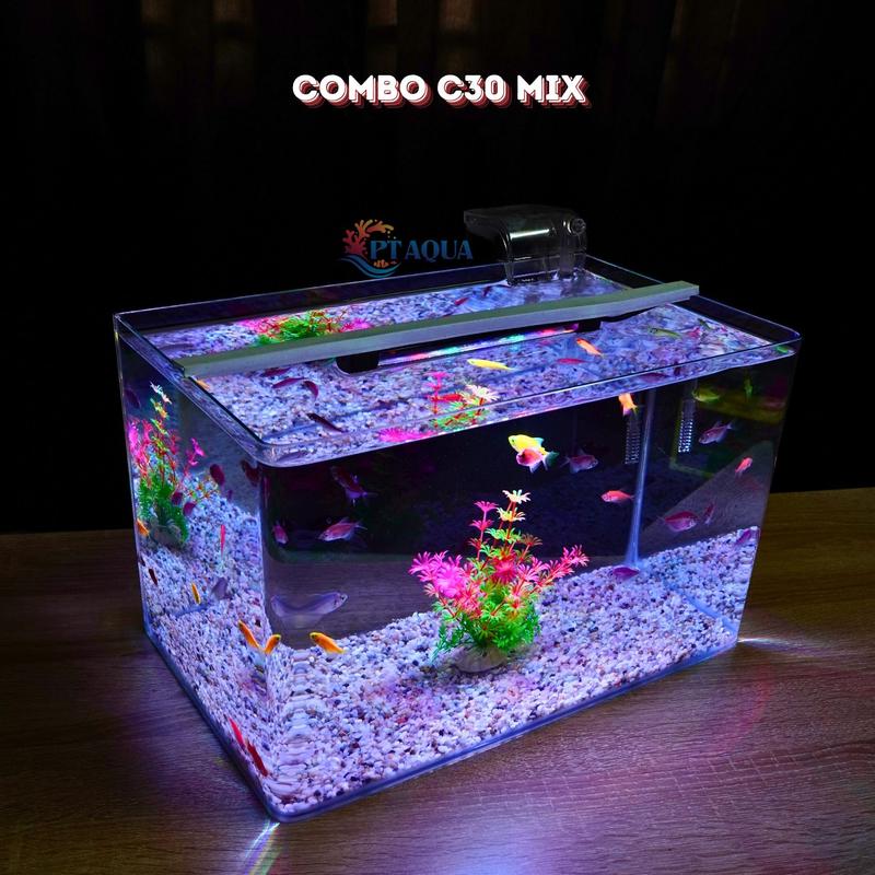 Bể cá mini Đúc uốn cong 40x24x25cm để bàn Với nhiều mẫu lựa chọn có kèm phụ kiện sỏi nền và cây nhựa
