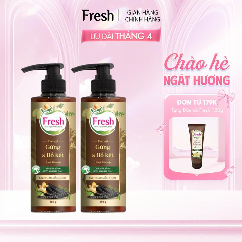 Combo 2 Dầu Gội Fresh Thảo Mộc Dưỡng Sinh Sạch Gàu Mềm Mượt Phiên Bản Mới 480g/chai