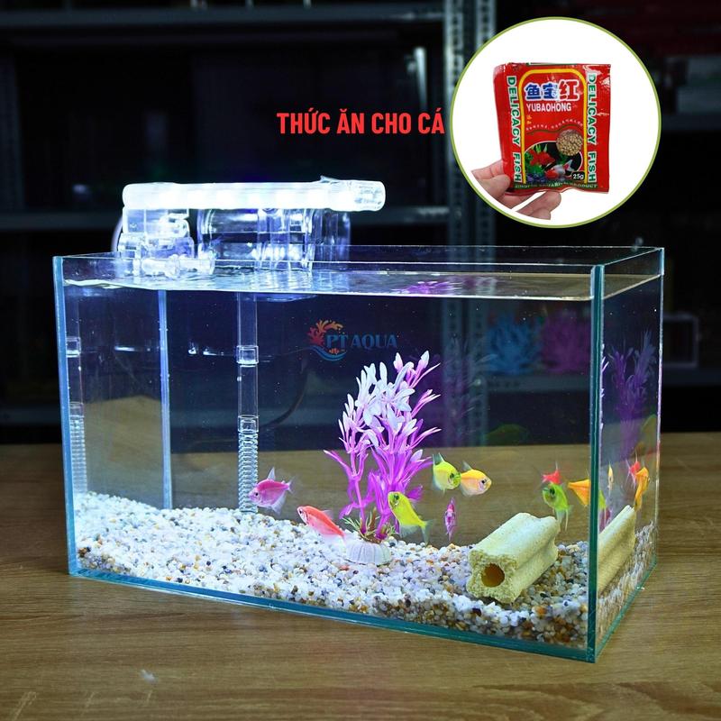 Bể Cá Mini Kích Thước 30x15x18cm - Combo phụ kiện 5 món, 6 món, 7 món