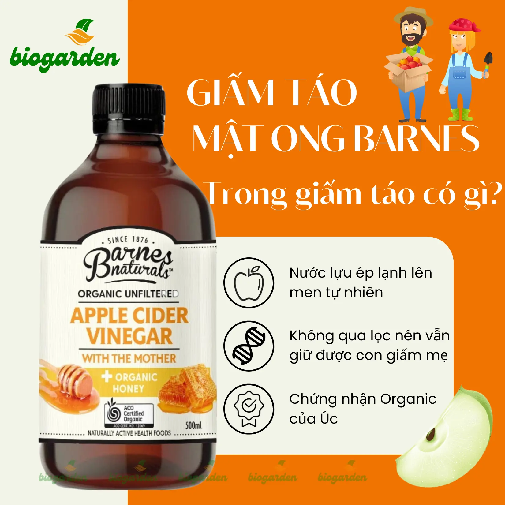 Giấm Táo Mật Ong Hữu Cơ (có giấm Mẹ) Chai 500ml Barnes Naturals - Hỗ Trợ Tiêu Hoá - Giảm Mùi Hôi