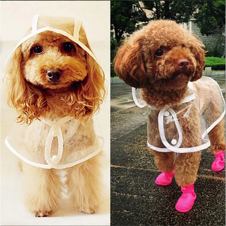 Waterproof Dog Raincoat – Clear Pet Poncho Jacket for Small & Medium Dogs, Breathable Lightweight Rainwear for Teddy