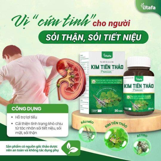 Product Introduction of [Combo 3 Hộp ] Kim tiền thảo trị sỏi thận, sỏi mật, sỏi tiết niệu . Hộp 30 viên 9