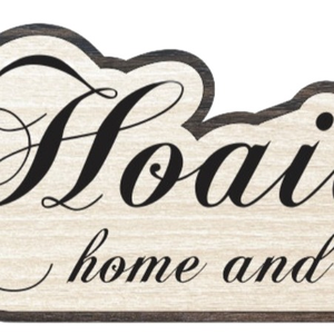 HOAILEE1 pillow or Blanket