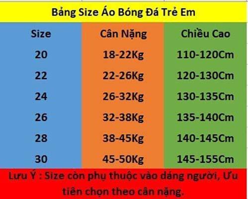 Bộ Quần Áo Bóng Đá Trẻ Em Đội Tuyển Việt Nam Sân Nhà 2024-Vải Mè Thái Cao Cấp 1