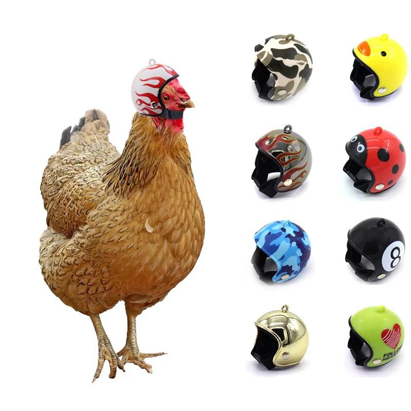 Product Introduction of Funny Chicken Helmet Small Bird Duck Quail Hard Hat Headgear Prevent The Chicken From Smash Protect for Hens Head Small Pet Clothing 17