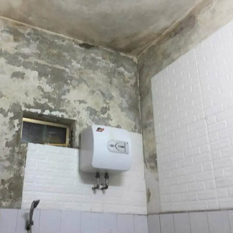 Keo xịt dán mút xốp, mút tiêu âm, giấy dán tường, thảm trải sàn chuyên dụng không mùi PJ77 dung tích 600ml - 1 lọ dán được 5-7m2 4