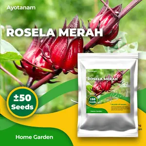 AYOTANAM Benih Rosela Merah isi ± 50 Benih