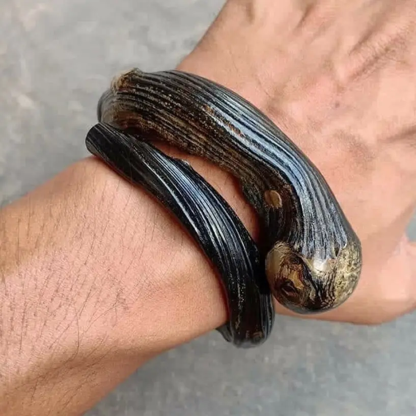 Gelang akar bahar hitam berserat padat original dan berkualitas