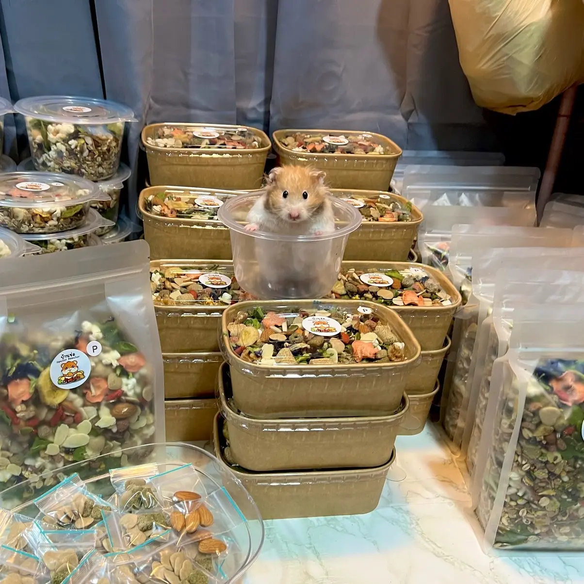 อาหารแฮมสเตอร์ บ้านช่อ(สูตรธรรมดา)