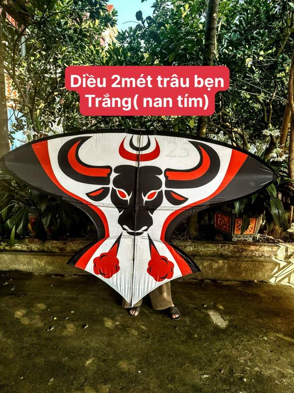 Combo diều 2m trâu bẹn hoàn thiện nan full cacbon Tím xịn