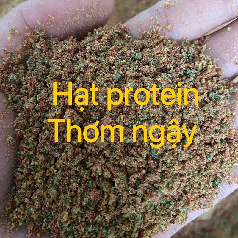Hạt protein vị thơm - chuyên dùng câu cá chép - tăng vị giữ ổ - hàng chất lượng 0