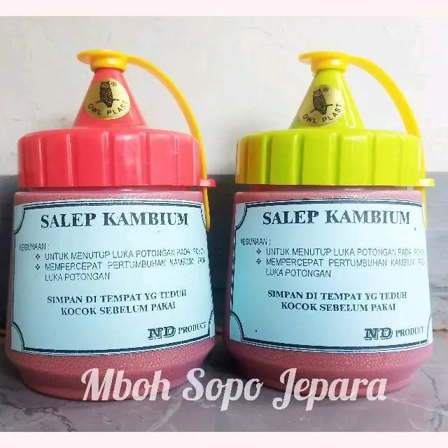 Alat Bonsai, Salep Kambium Tanaman merk ND Produk Lokal