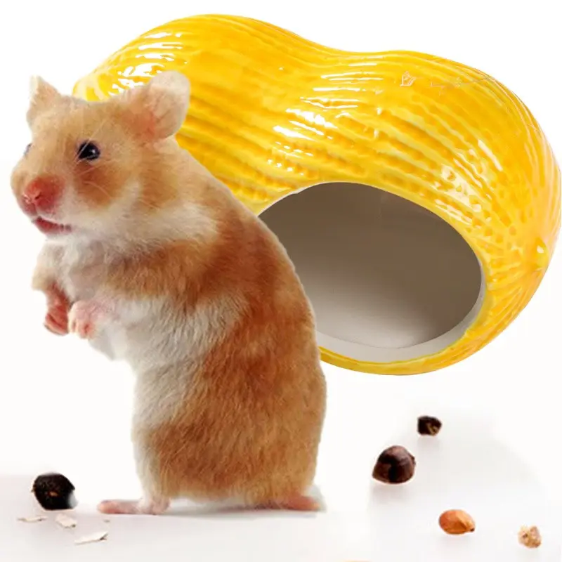 nhà sứ hình quả óc chó, đậu phộng, hạch đào , gốc cây, dừa cho hamster và sóc - T3 PETS SHOP 4