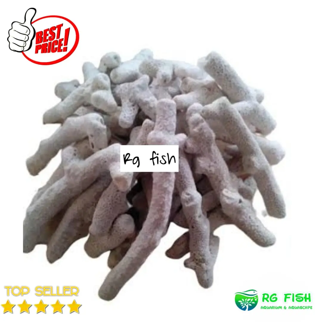 Karang Jahe Kemasan 500 Gram