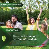 Gambar Sari Jus Buah Mengkudu Noni - Menyembuhkan Gerd, Pencernaan dan Insomnia dari Serambi Botani_NEW Kota Bogor 3 Tokopedia