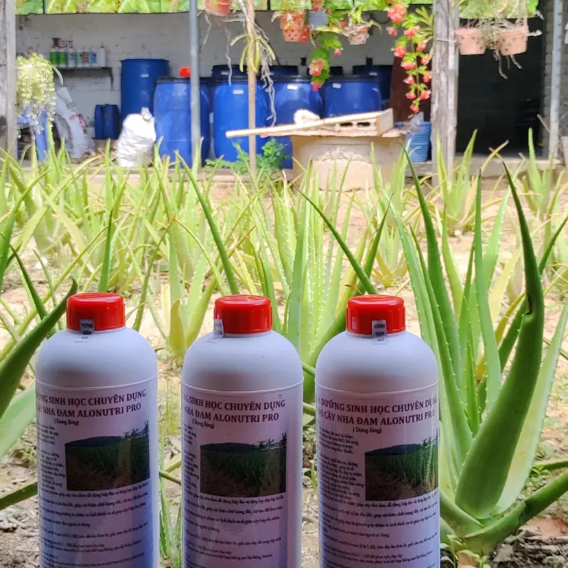 Alonutri Pro 2024 - Dinh Dưỡng Sinh Học Chuyên Dụng Cho Cây Nha Đam 3