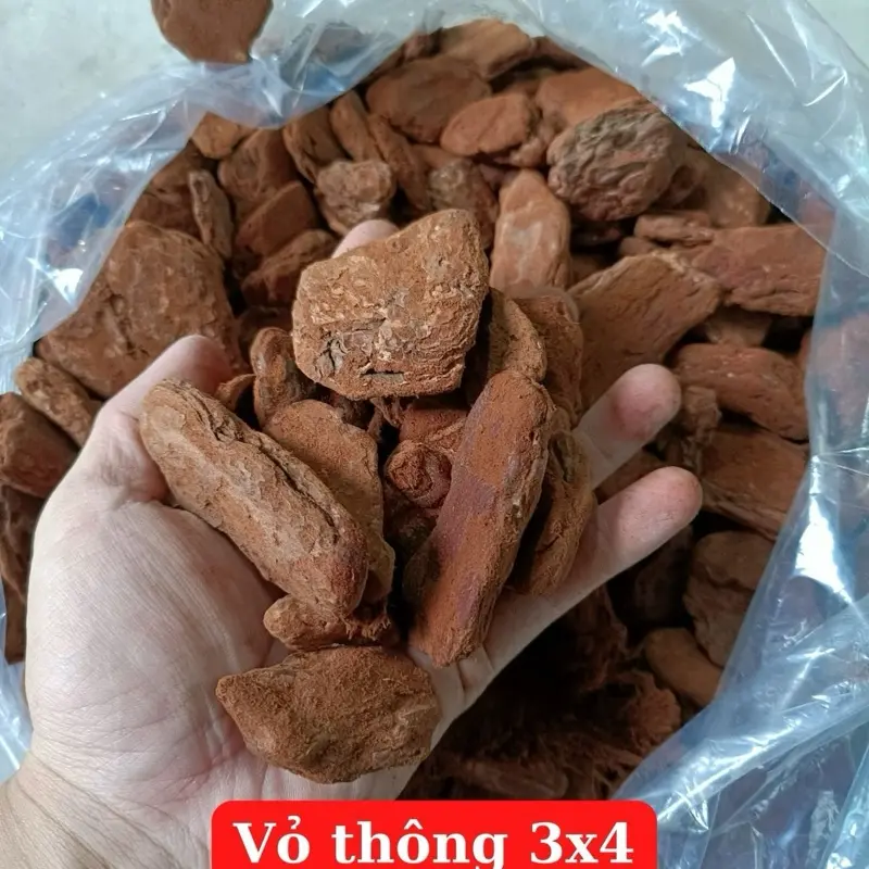 5kg vỏ thông rừng size 2,4 0