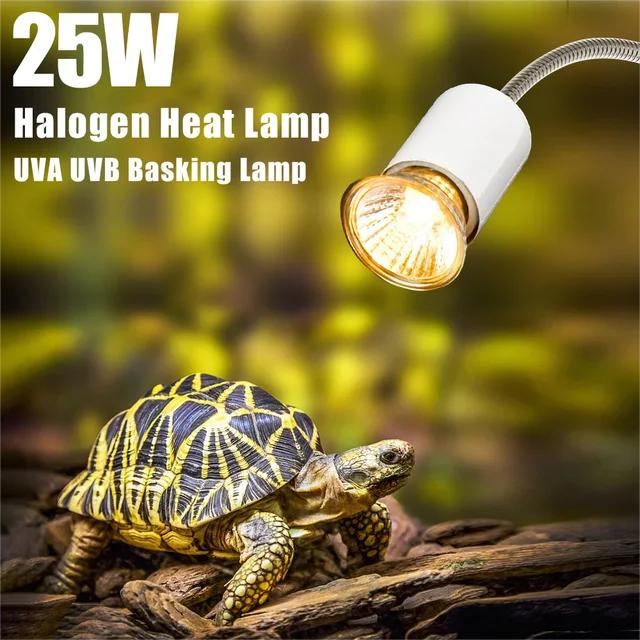 Lampu UVA UVB Halogen 50W  Penghangat Reptile Torto Sulcata Nomoy Kecil Iguana Kura Kura 3