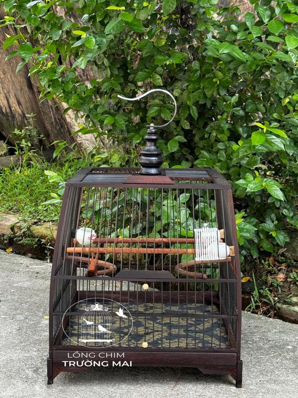 lồng chim chào mào khung lồng chim tự ráp vuông đấu thái đấu khung gỗ mun đuôi công nan cáp quang QC0107