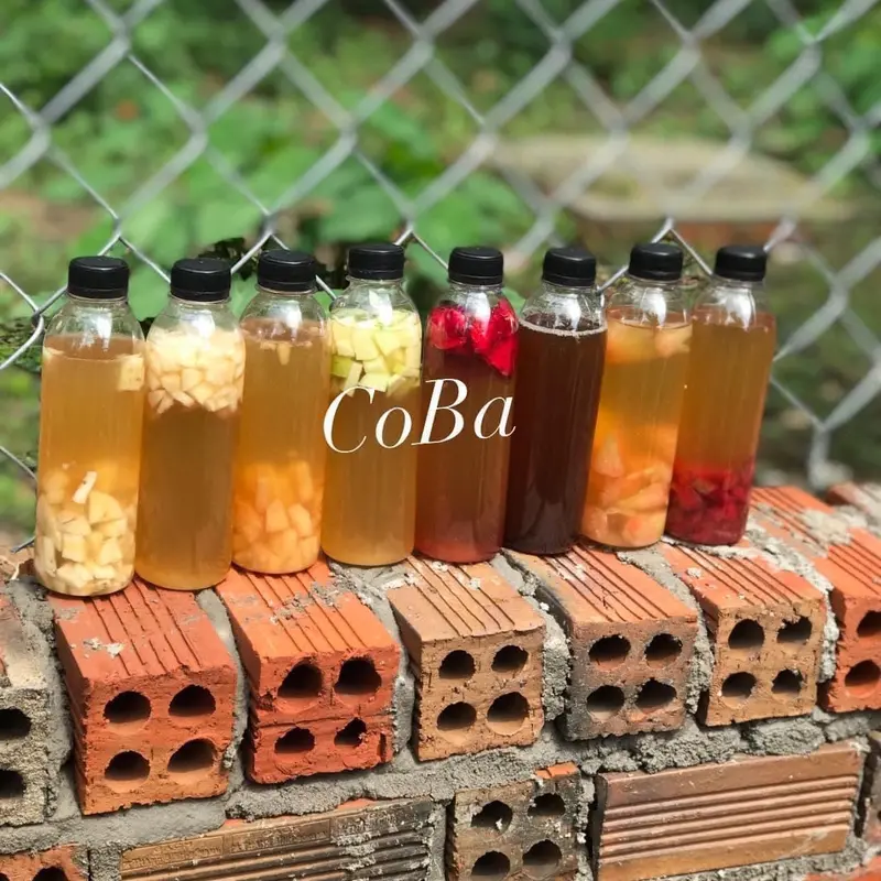 Set Trà Kombucha 4 Món Tự Nhiên Tea Nước Trà 7