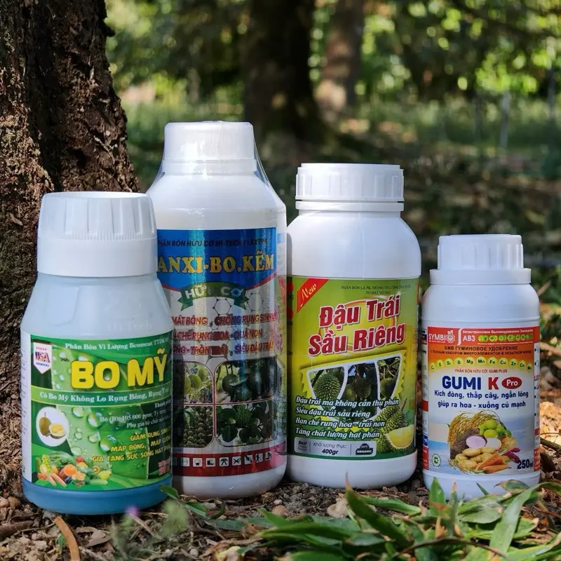 BỘ 3 ĐẬU TRÁI SẦU RIÊNG SAU KHI XỔ DỨT NHUỴ CỦA TƯ ĐẦY, 1 BỘ PHA 400 LÍT NƯỚC