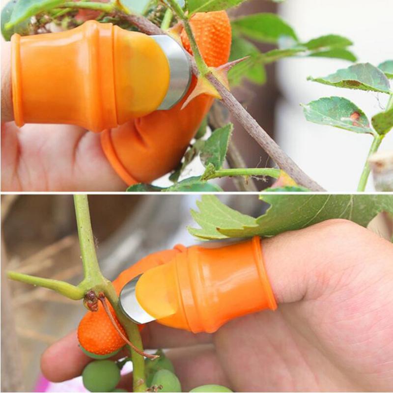 Product Introduction of Farm Vegetable Fruit Picker Pickle Pepper Pickle Tip Picker Iron Nail Pick Grape Picker for Garden Orchard and Vegetable Patch 29