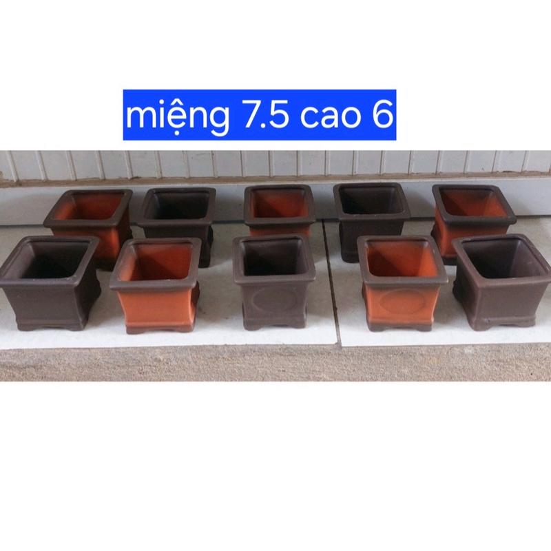 Bộ 10 chậu size 7,5x6cm gốm thủ công bát tràng trồng bonsai mini sen đá