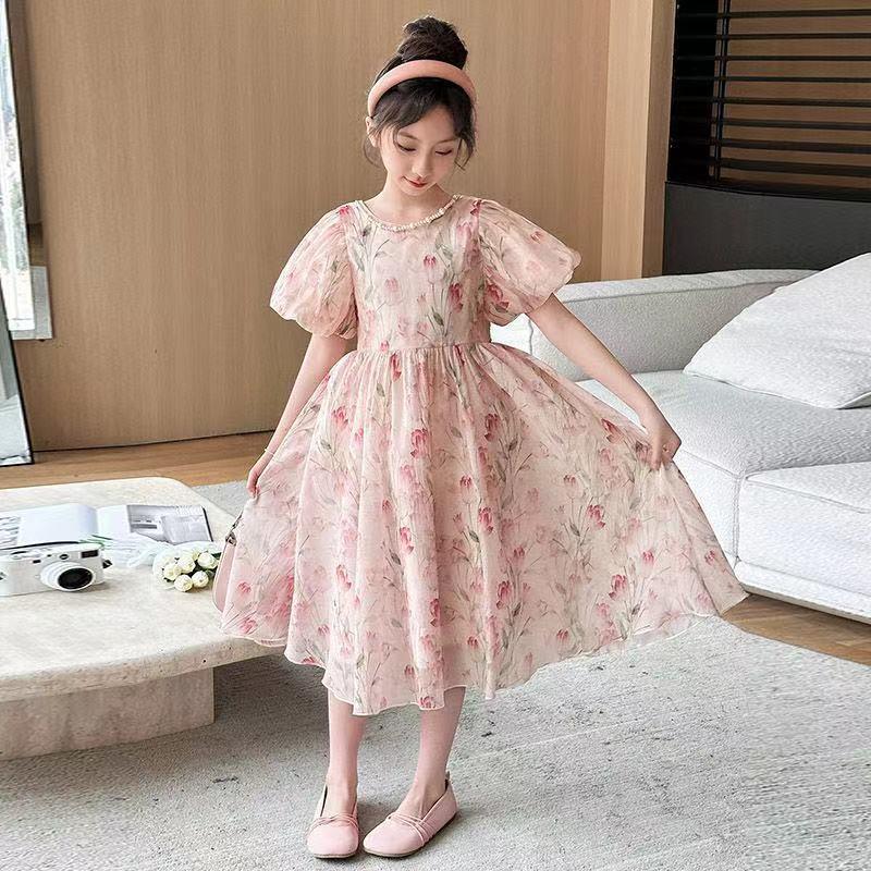 0460  Girls new Korean style princess dress 2024 dress princess chiffon dress 5