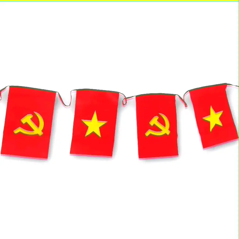Cờ dây trang trí cuộn cờ dây 10m 1