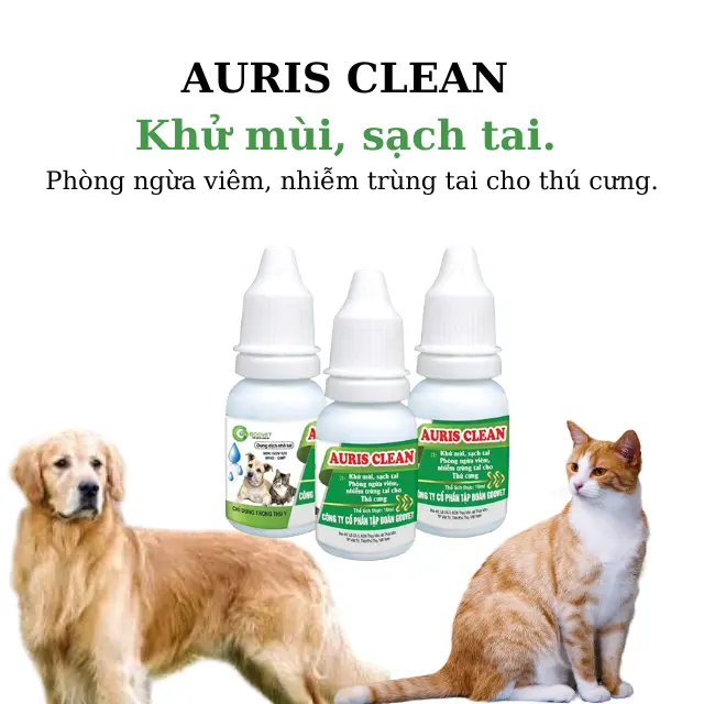 4 Chai AURIS CLEAN - Khử mùi, sạch tai. Phòng ngừa viêm, nhiễm trùng tai cho thú cưng. suat am thu cung bình xịt tạo bọt tắm cho mèo