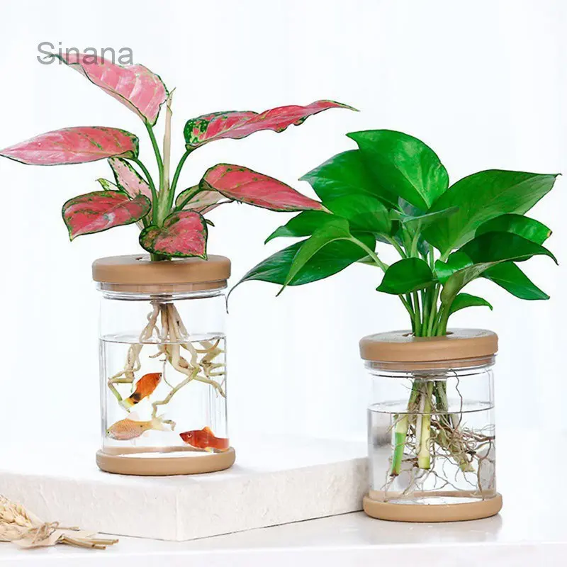 Plant Pot Transparent Hydroponic Pots Lazy Flower Pot Indoor Water Garden Plants Planting Gardening Planter for Home Indoor Outdoor Desk Decor