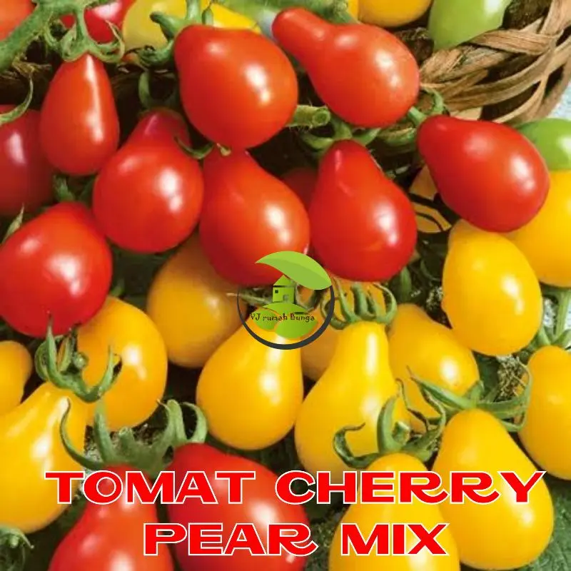 tomat ceri pear mix