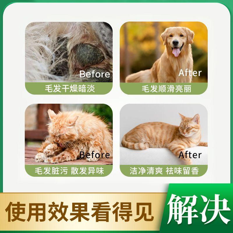 Dầu gội cho thú cưng, dành cho mèo và chó, Khử mùi, Chống ngứa, Kháng khuẩn, Loại bỏ Mạt, Lông thú cưng mịn màng, Kháng khuẩn lâu dài, Tiêu diệt Mạt 4