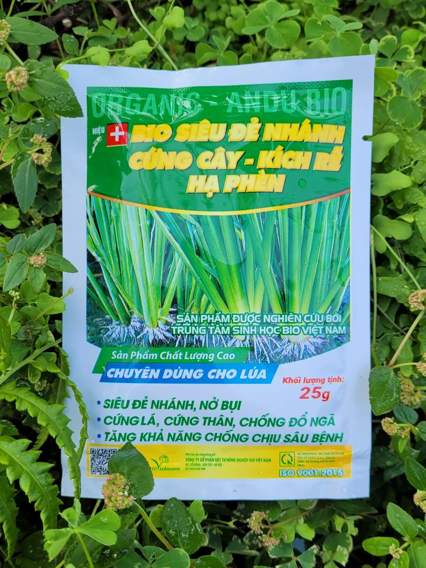 Phân bón lá Bio Siêu Đẻ Nhánh kích rễ, đâm chối  sử dụng cho lúa, hoa kiểng, rau màu gói 25 gram
