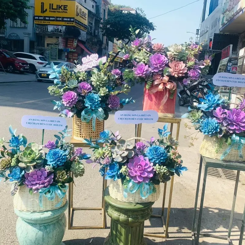 Sơn xịt cao cấp dành cho Hoa tươi 3