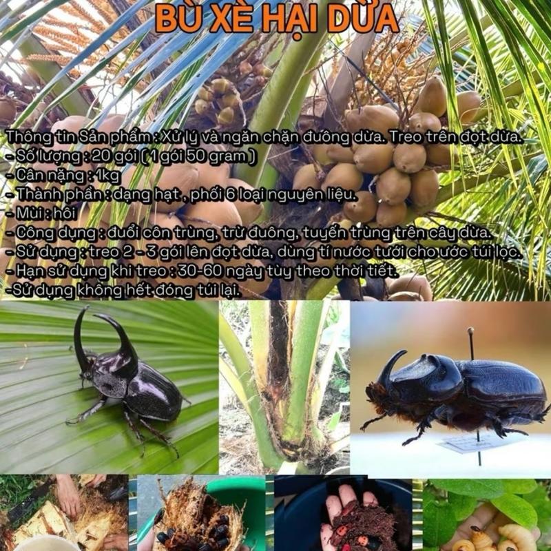 Combo 2 gói bột bù xè, đuông dừa, bọ cánh cứng treo trên cây dừa 2gói(40túi dạng túi lọc) 3