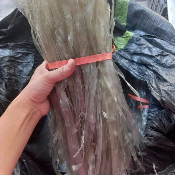 miến dong thái tay điện biên Cay 1