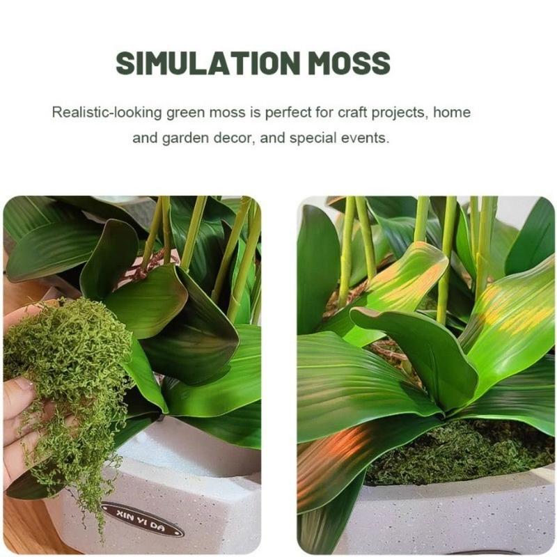 Product Introduction of Đồ Trang Trí Rêu Mô Phỏng, Bền, Cho Cây Trồng Chậu, Cảnh Quan Siêu Nhỏ, Rêu Hoa Và Rêu Xanh, Đồ Thủ Công Tự Làm, Trang Trí Vườn Nhà, Cỏ Giả, 1 Bộ 17