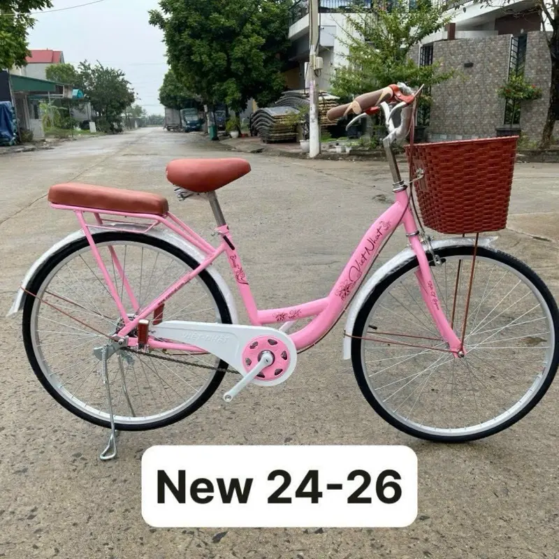 Xe đạp việt nhật cho bé gái từ 12-18 tuổi
