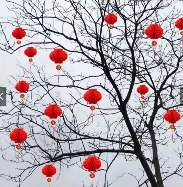 Sét 100 đèn lồng đỏ (đủ size nhỏ to) treo cây ,trang trí Tết 2026, noel, lễ hội, sinh nhật,deco ..  tiệc cưới, tiệc tân gia - chống thấm nước giúp căn nhà bạn trở nên rực rỡ (có tách lẻ 50 ,30 cho khách mua ít)